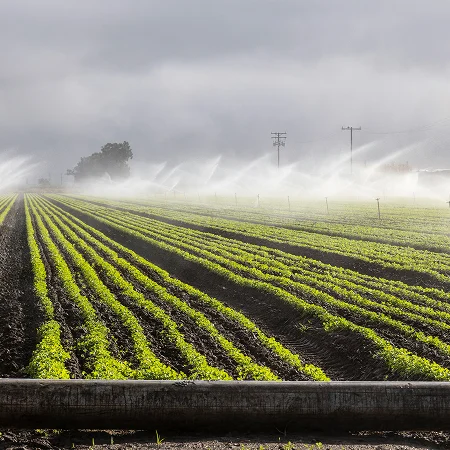 Photo of an irrigated agricultural field